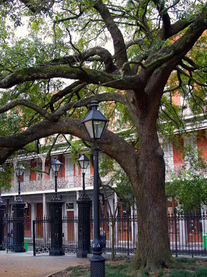 Jackson Square -Nouvelle-Orlans : source commons wikimedia - image public domain