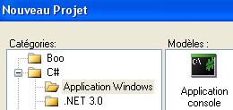 Application console